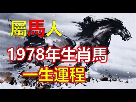 2023馬年運程1978女|屬馬女2023財運亨通